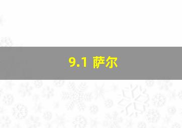 9.1 萨尔